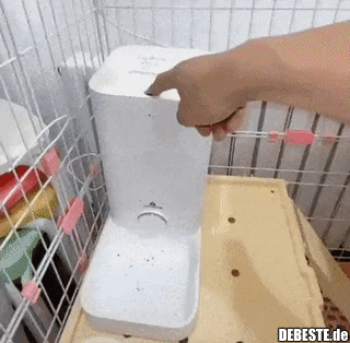 Essen, Essen, Essen!