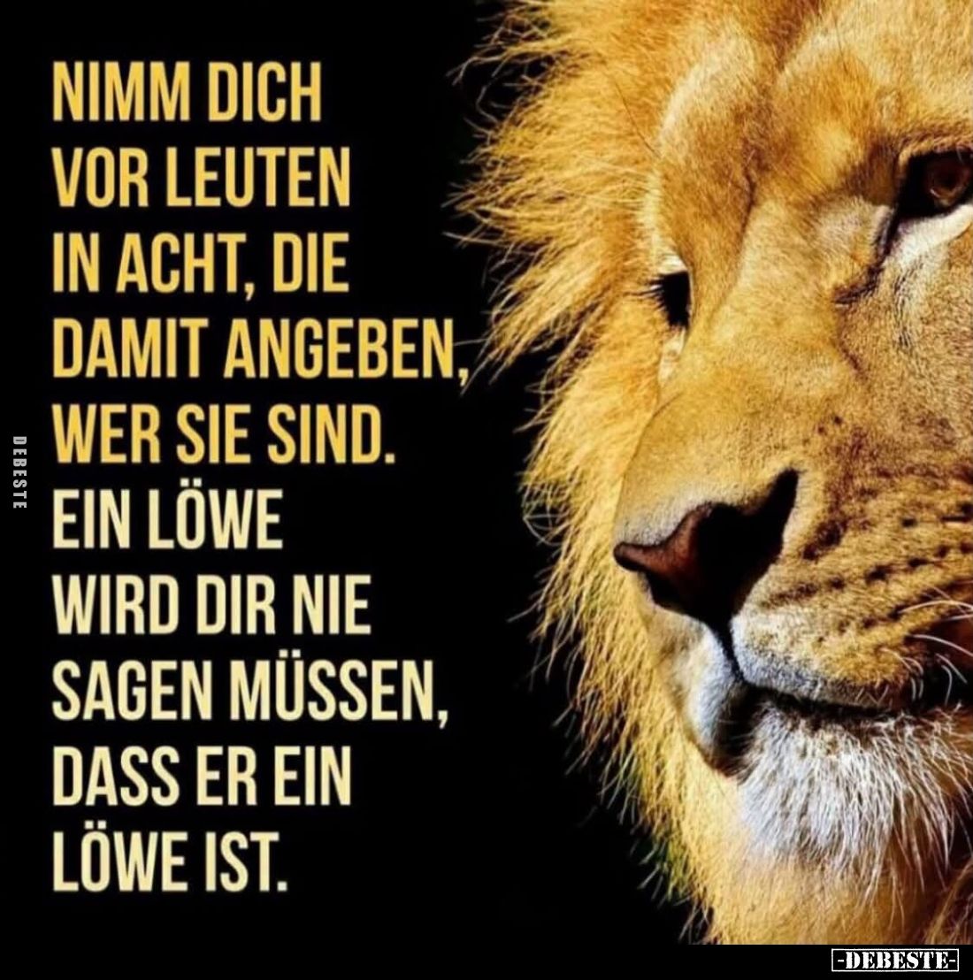 Nimm dich
vor Leuten
in Acht, die
damit angeben,
wer sie sind.
Ein Löwe
wird dir nie
sagen müssen,
dass er ein
Löwe ...