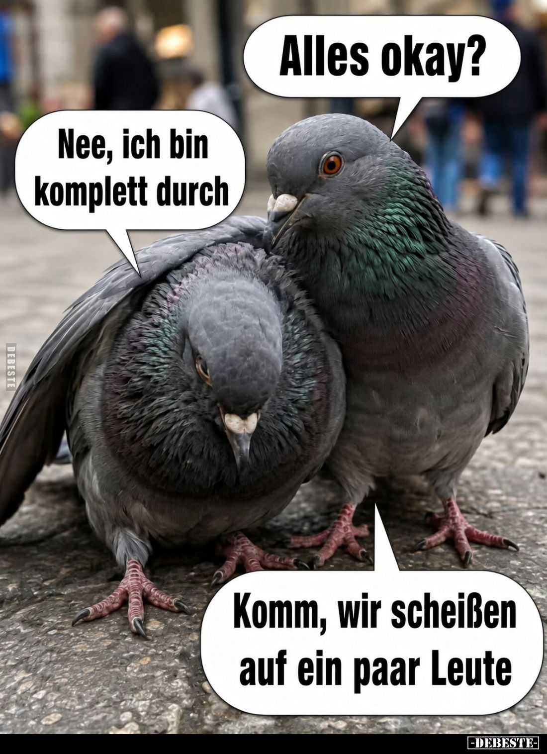Alles okay?
Nee, ich bin komplett durch.
Komm, wir scheißen auf ein paar Leute.