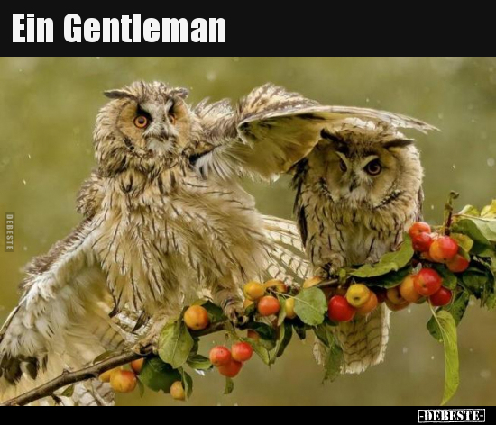 Ein Gentleman.. - Lustige Bilder | DEBESTE.de