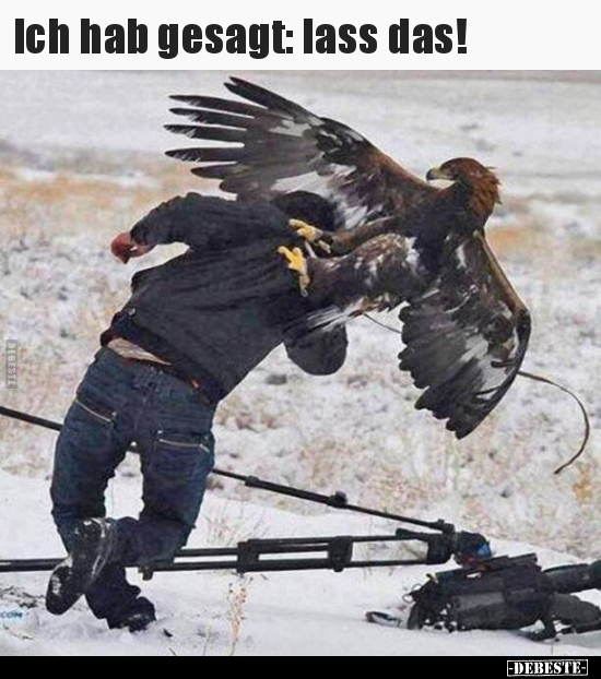 Ich hab gesagt: lass das!..