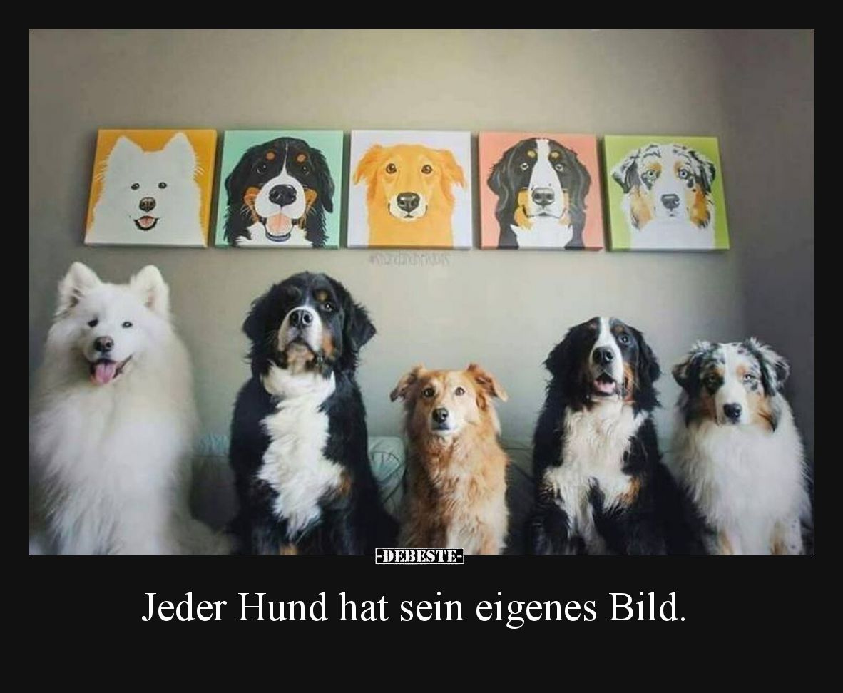 Jeder Hund hat sein eigenes Bild.