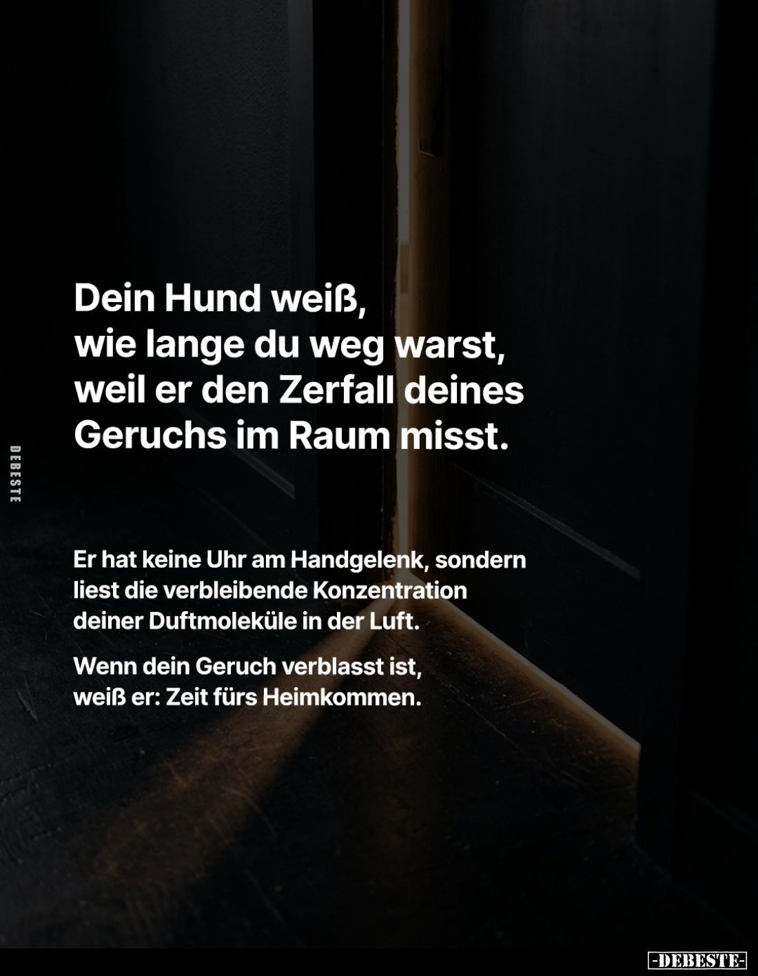 Dein Hund weiß, wie lange du weg warst, weil er den Zerfall deines Geruchs im Raum misst.

Er hat keine Uhr am Handgelenk, ...