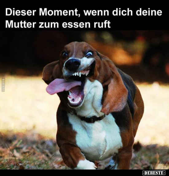 Dieser Moment, wenn dich deine Mutter zum essen ruft.. - Lustige Bilder | DEBESTE.de