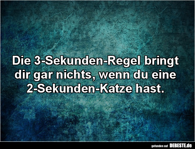 Die 3-Sekunden-Regel bringt dir... - Lustige Bilder | DEBESTE.de