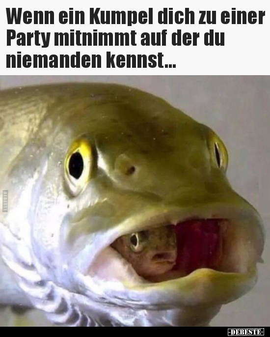 Wenn ein Kumpel dich zu einer Party mitnimmt auf der du..