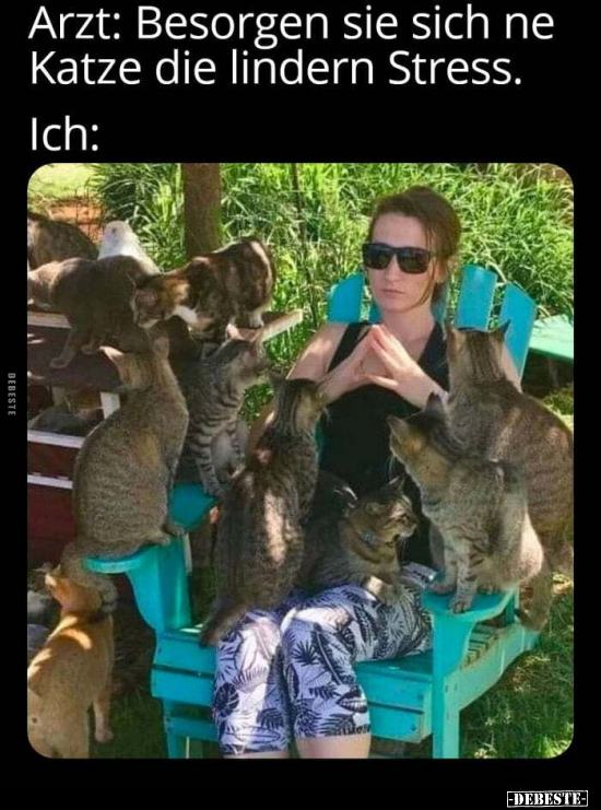 Arzt: Besorgen sie sich ne Katze die lindern.. - Lustige Bilder | DEBESTE.de