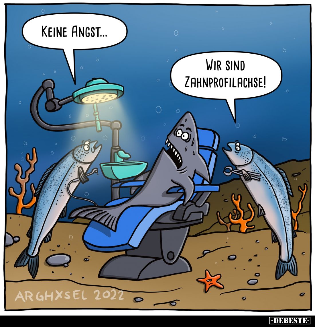 Keine Angst... -
Wir sind Zahnprofilachse!