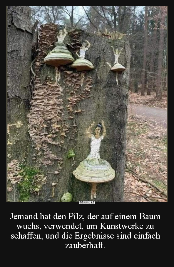 Jemand hat den Pilz, der auf einem Baum wuchs, verwendet.. - Lustige Bilder | DEBESTE.de