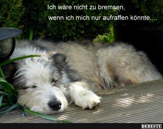 Ich wäre nicht zu bremsen..