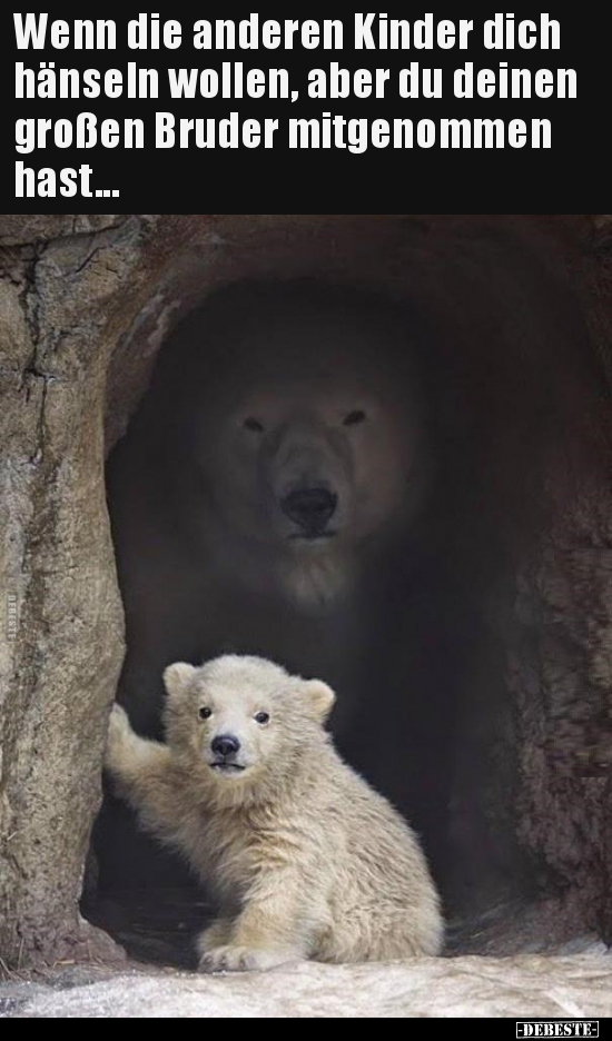 Wenn die anderen Kinder dich hänseln wollen, aber du deinen..