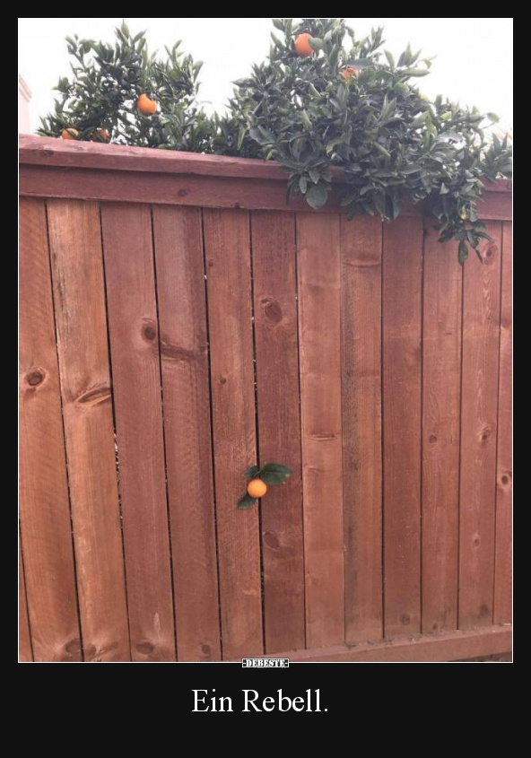 Ein Rebell.