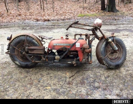  - Lustige Bilder | DEBESTE.de