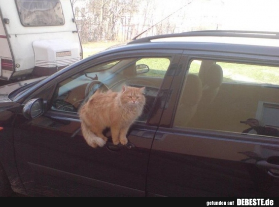  - Lustige Bilder | DEBESTE.de