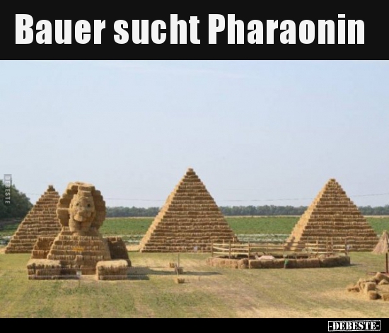 Bauer sucht Pharaonin.. - Lustige Bilder | DEBESTE.de