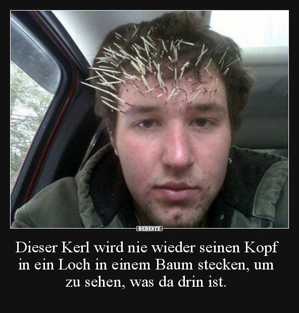 Dieser Kerl wird nie wieder seinen Kopf in ein Loch in.. - Lustige Bilder | DEBESTE.de
