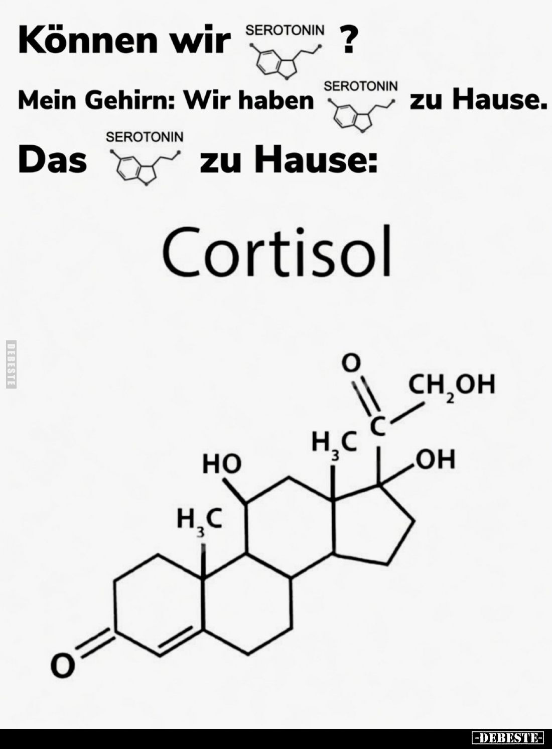 Können wir Serotonin?
Mein Gehirn: Wir haben Serotonin zu Hause.
Das Serotonin zu Hause:
Cortisol