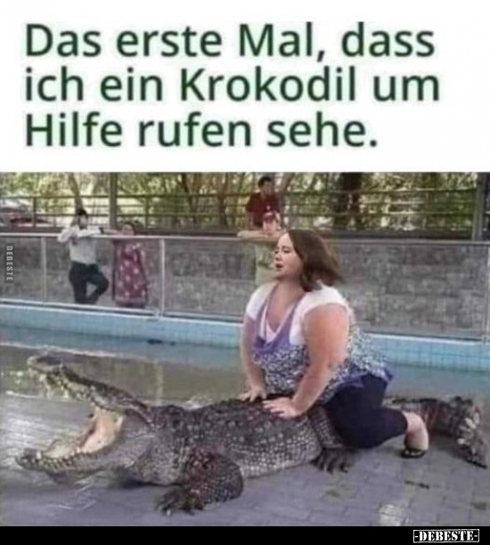 Das erste Mal, dass ich ein Krokodil.. - Lustige Bilder | DEBESTE.de