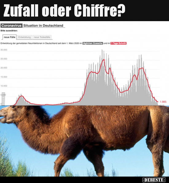 Zufall oder Chiffre?..