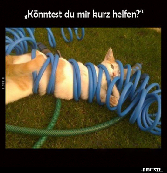 "Könntest du mir kurz helfen?".. - Lustige Bilder | DEBESTE.de