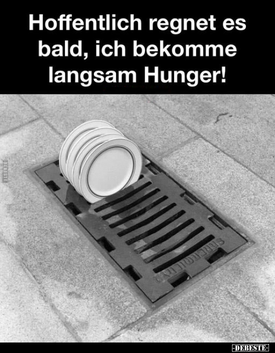 Hoffentlich regnet es bald, ich bekomme langsam Hunger!.. - Lustige Bilder | DEBESTE.de