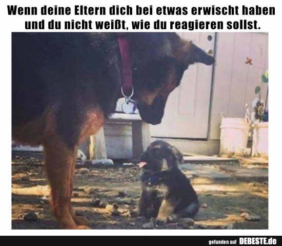 Wenn deine Eltern dich bei etwas erwischt haben..