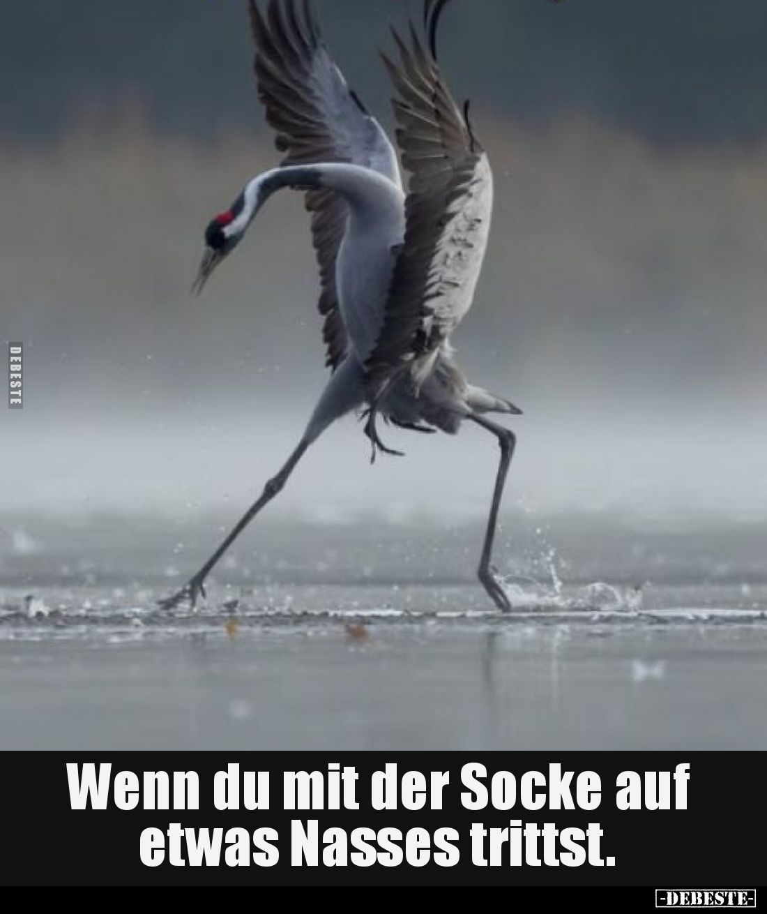 Wenn du mit der Socke auf etwas Nasses trittst.