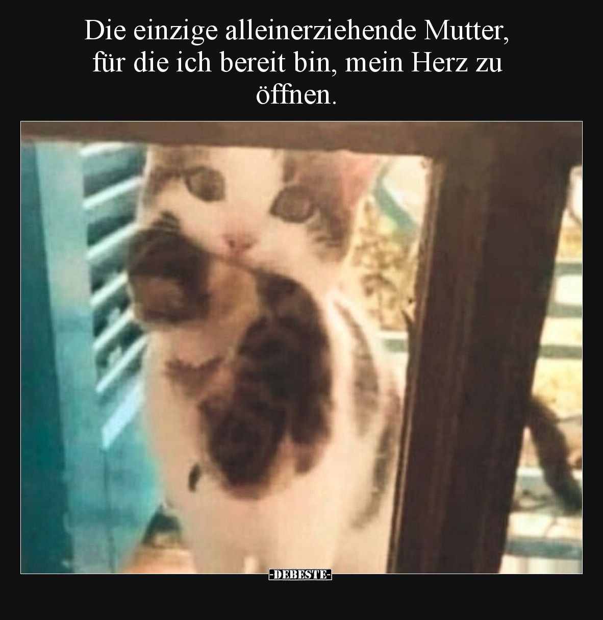 Die einzige alleinerziehende Mutter, für die ich bereit bin, mein Herz zu öffnen.