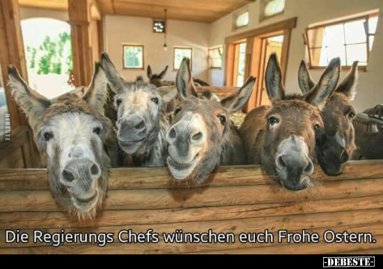 Die Regierungs Chefs wünschen euch Frohe Ostern... - Lustige Bilder | DEBESTE.de