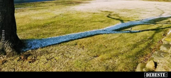  - Lustige Bilder | DEBESTE.de