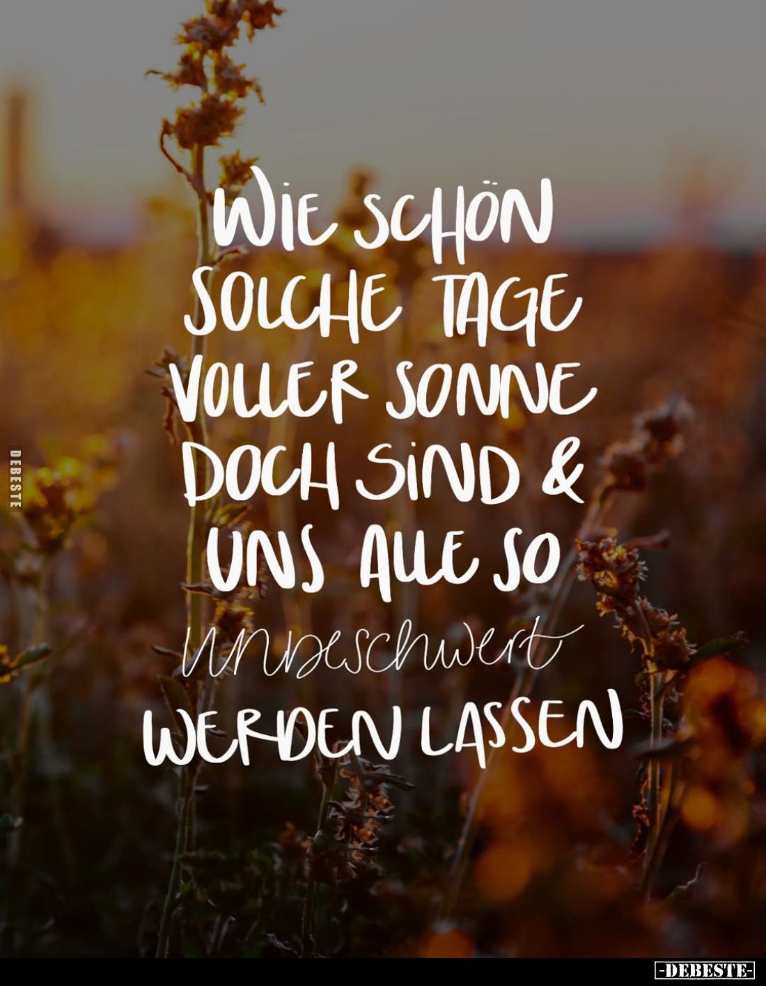 Wie schön solche Tage voller Sonne doch sind & uns alle so unbeschwert werden lassen.