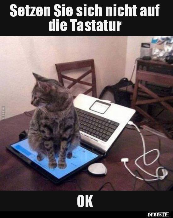 Setzen Sie sich nicht auf die Tastatur.. - Lustige Bilder | DEBESTE.de