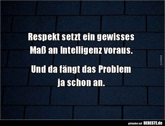 Respekt setzt ein gewisses  Maß an Intelligenz voraus... - Lustige Bilder | DEBESTE.de