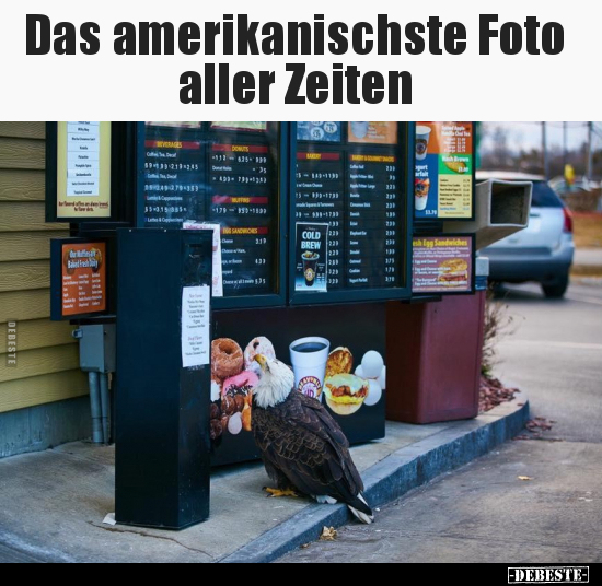 Das amerikanischste Foto aller Zeiten.. - Lustige Bilder | DEBESTE.de