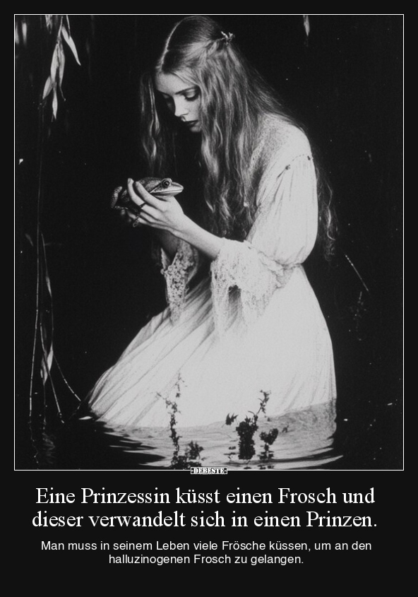 Eine Prinzessin küsst einen Frosch und dieser verwandelt.. - Lustige Bilder | DEBESTE.de