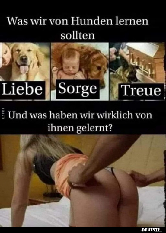 Was wir von Hunden lernen sollten.. - Lustige Bilder | DEBESTE.de