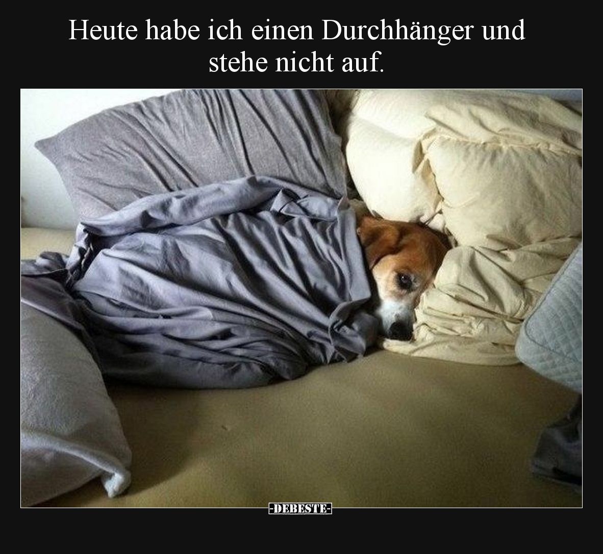 Heute habe ich einen Durchhänger und stehe nicht auf... - Lustige Bilder | DEBESTE.de