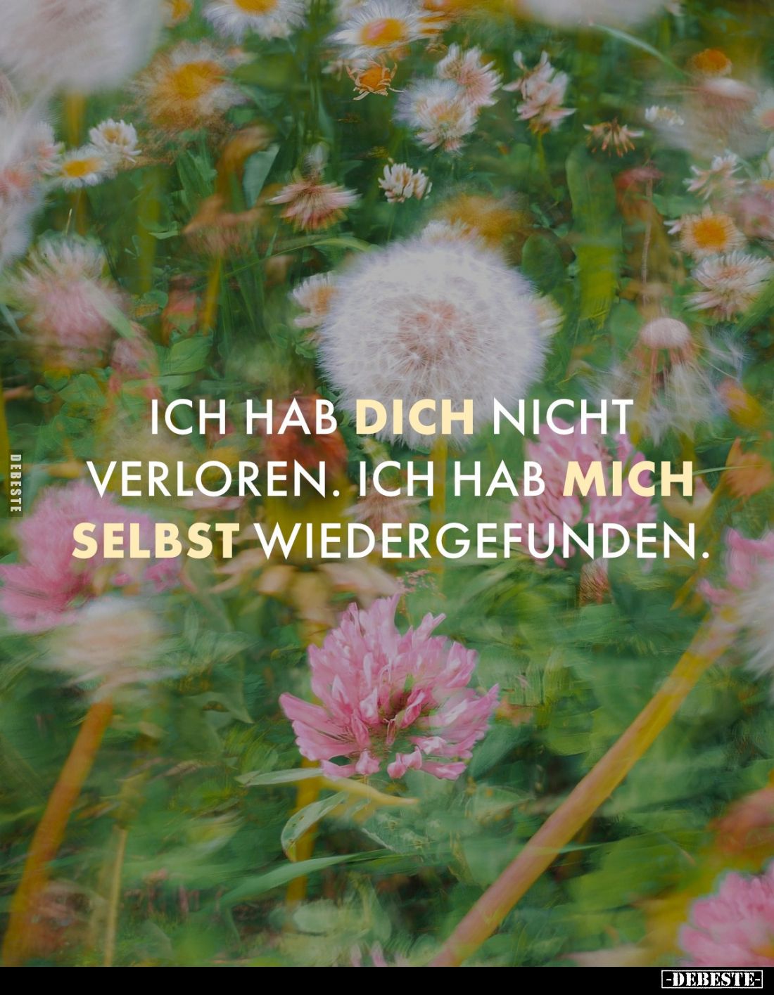 Ich hab dich nicht verloren. Ich hab mich selbst wiedergefunden.