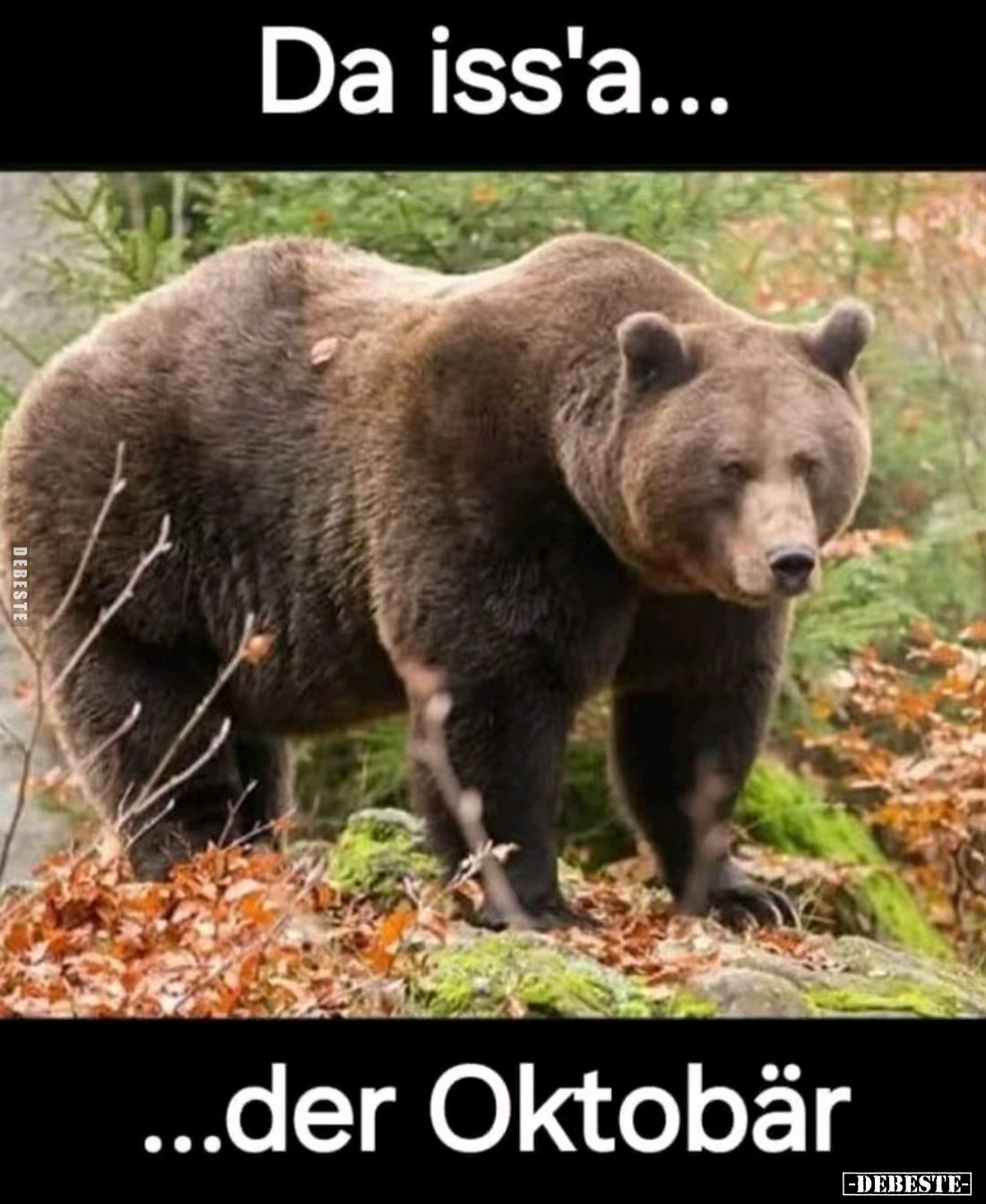 Da iss'a der Oktobär.