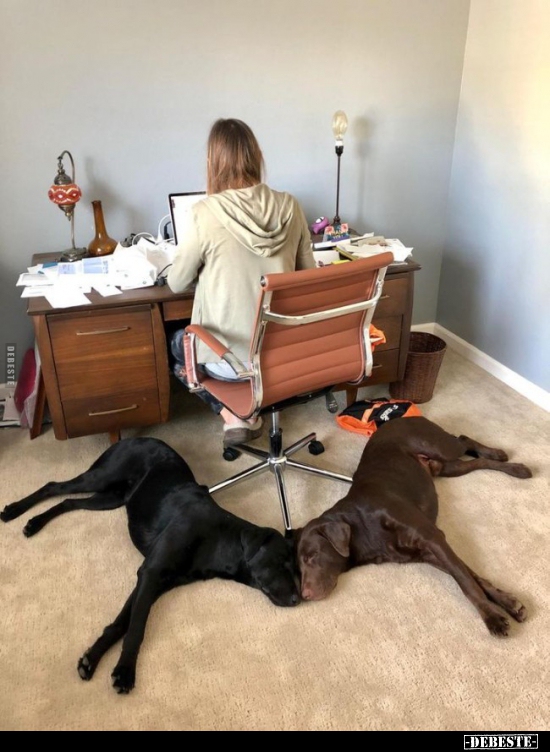  - Lustige Bilder | DEBESTE.de