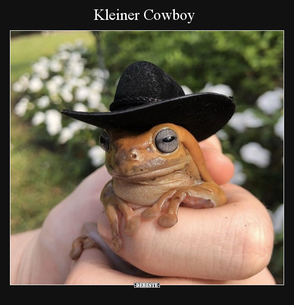 Kleiner Cowboy.. - Lustige Bilder | DEBESTE.de