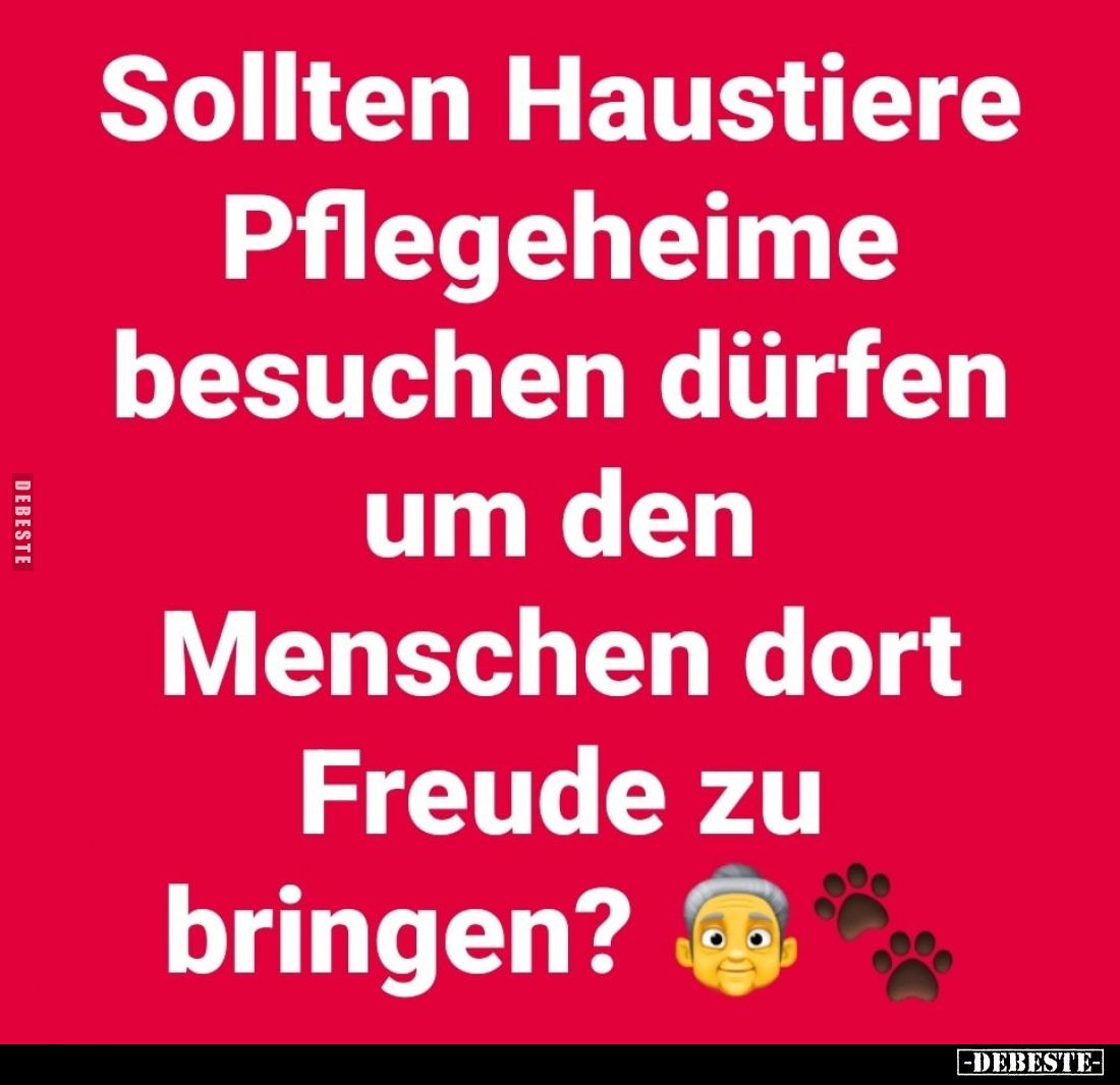 Sollten Haustiere
Pflegeheime besuchen dürfen um den Menschen dort Freude zu bringen?