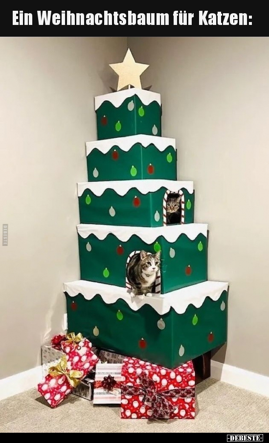 Ein Weihnachtsbaum für Katzen.. - Lustige Bilder | DEBESTE.de