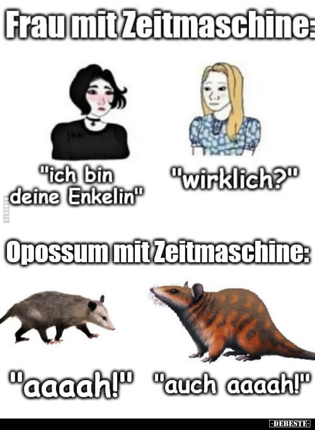Frau mit Zeitmaschine
"ich bin deine Enkelin"
"wirklich?"
Opossum mit Zeitmaschine:
"aaaah!&quot...