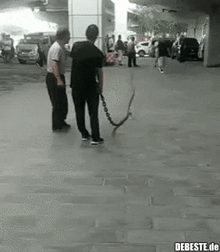 Was Ketten so machen..