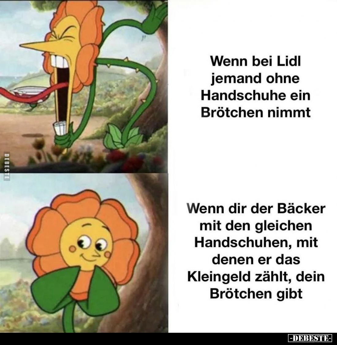 Wenn bei Lidl jemand ohne Handschuhe... - Lustige Bilder | DEBESTE.de