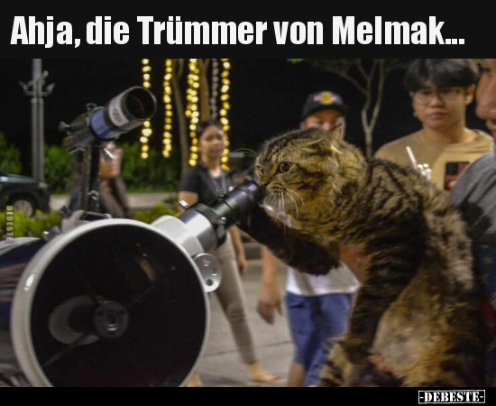 Ahja, die Trümmer von Melmak...