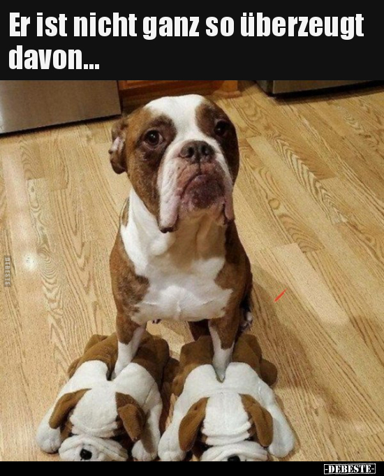 Er ist nicht ganz so überzeugt davon...