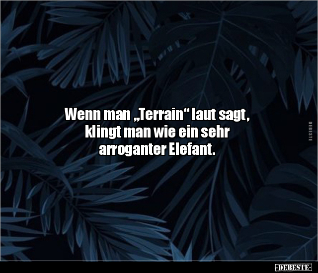 Wenn man "Terrain" laut sagt, klingt man wie ein sehr.. - Lustige Bilder | DEBESTE.de