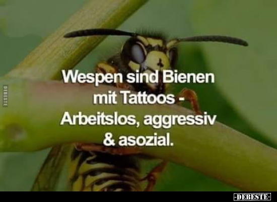 Wespen sind Bienen mit Tattoos.. - Lustige Bilder | DEBESTE.de